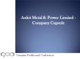 Ankit Metal & Power Limited - Company Capsule PowerPoint PPT Presentation