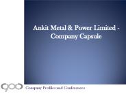Ankit Metal & Power Limited - Company Capsule (1)