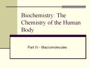 Introductory Biochemistry II