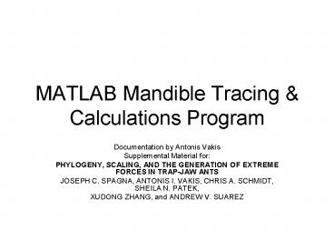 MATLAB Mandible Tracing