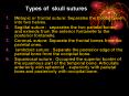 Types of skull sutures : PowerPoint PPT Presentation