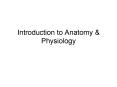 Introduction to Anatomy PowerPoint PPT Presentation