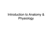 Introduction to Anatomy