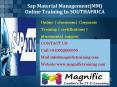 Sap Material Management(MM) Online Training In SOUTHAFRICA PowerPoint PPT Presentation