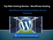 Top Web Hosting Review - WordPress Hosting