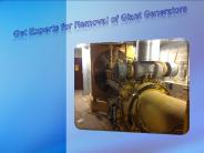 Get Experts for Removal of Giant Generators