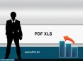 PDF XLS PowerPoint PPT Presentation