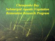 Chesapeake Bay Submerged Aquatic Vegetation Restoration Research Program