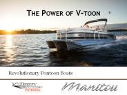 The Power of V-Toon