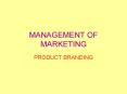MANAGEMENT OF MARKETING PowerPoint PPT Presentation