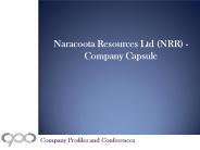 Naracoota Resources Ltd (NRR) - Company Capsule