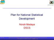 Plan for National Statistical Development
