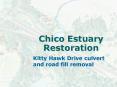 Chico Estuary Restoration PowerPoint PPT Presentation