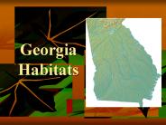 Georgia Habitats
