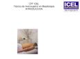 CFT ICEL T PowerPoint PPT Presentation