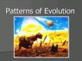 Patterns of Evolution PowerPoint PPT Presentation