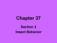 Insect Behavior PowerPoint PPT Presentation