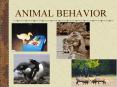 ANIMAL BEHAVIOR PowerPoint PPT Presentation