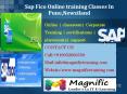 Sap Fico Online training Classes In Pune,Newziland PowerPoint PPT Presentation