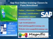 Sap Fico Online training Classes In Pune,Newziland