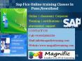 Sap Fico Online training Classes In Pune,Newziland (1) PowerPoint PPT Presentation