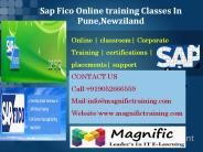 Sap Fico Online training Classes In Pune,Newziland (1)