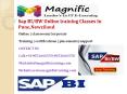 Sap BI-BW Online training Classes In Pune,Newziland PowerPoint PPT Presentation