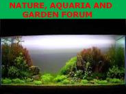 Nature, aquaria and garden forum