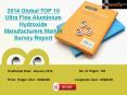 TOP 10 Ultra Fine Aluminium Hydroxide Manufacturers Market Survey Report PowerPoint PPT Presentation
