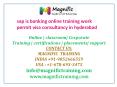sap is banking online training work permit visa consultancy in hyderabad PowerPoint PPT Presentation