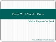 Brazil 2014 Wealth Book