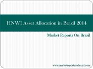 HNWI Asset Allocation in Brazil 2014