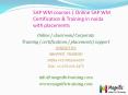 SAP WM courses  Online SAP WM Certification & Training in noida with placements