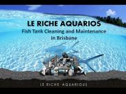 Fish Tank Cleaner | Aquarium Cleaner