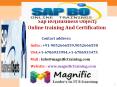 Sap BO(Business Object) Online Training And Certification PowerPoint PPT Presentation