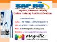 Sap BO(Business Object) Online Training And Certification PowerPoint PPT Presentation