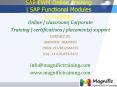 SAP EWM Online Training  SAP Functional Modules in mumbai PowerPoint PPT Presentation