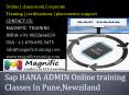 Sap HANA ADMIN Online training Classes In Pune,Newziland PowerPoint PPT Presentation