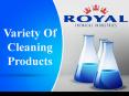 Variety Of Cleaning Products PowerPoint PPT Presentation
