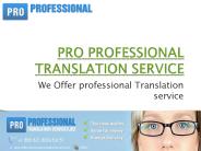Professional translation services