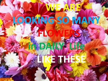 Online Flowers Delivery in Hyderabad