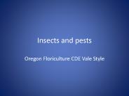 Insects and pests
