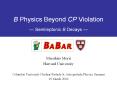 B Physics Beyond CP Violation  PowerPoint PPT Presentation