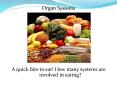 Organ Systems PowerPoint PPT Presentation