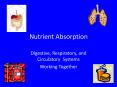 Nutrient Absorption PowerPoint PPT Presentation