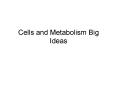Cells and Metabolism Big Ideas PowerPoint PPT Presentation