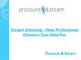 Carpet Cleaning - How Professional Cleaners Can Help You PowerPoint PPT Presentation