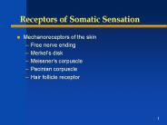Receptors of Somatic Sensation