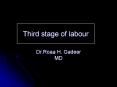 Third stage of labour PowerPoint PPT Presentation