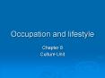Occupation and lifestyle PowerPoint PPT Presentation